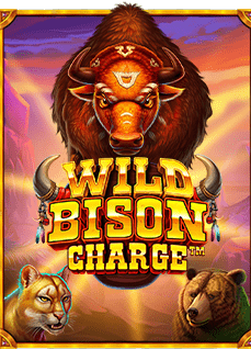 ประสบการณ์ทดลองเล่นกับค่ายพนันออนไลน์ยอดนิยม